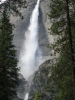 PICTURES/Yosemite National Park/t_Yosemite Falls11.JPG